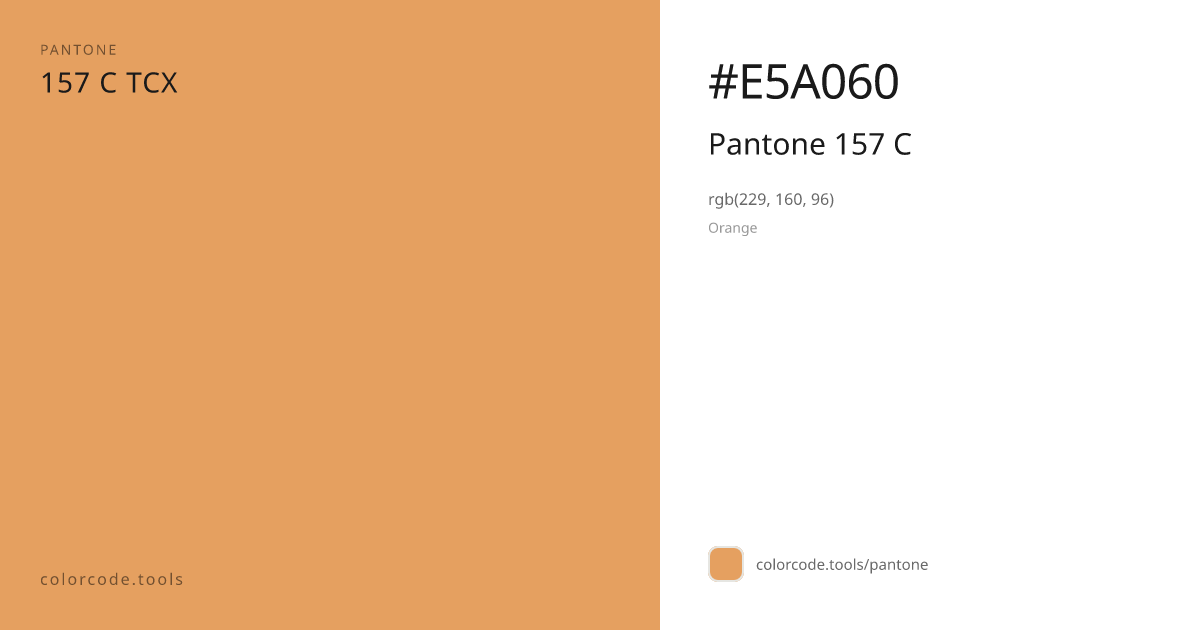 Pantone Pantone 157 C 157 C — HEX #E5A060 | colorcode.tools