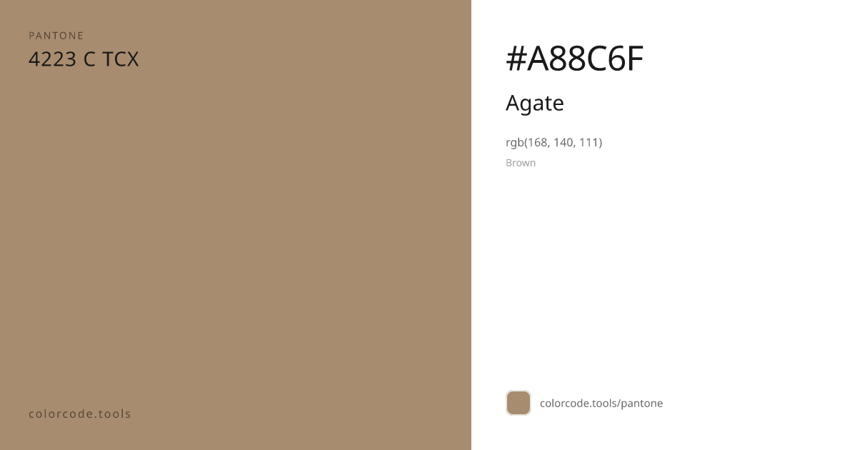 Pantone Agate 4223 C — HEX #A88C6F | colorcode.tools