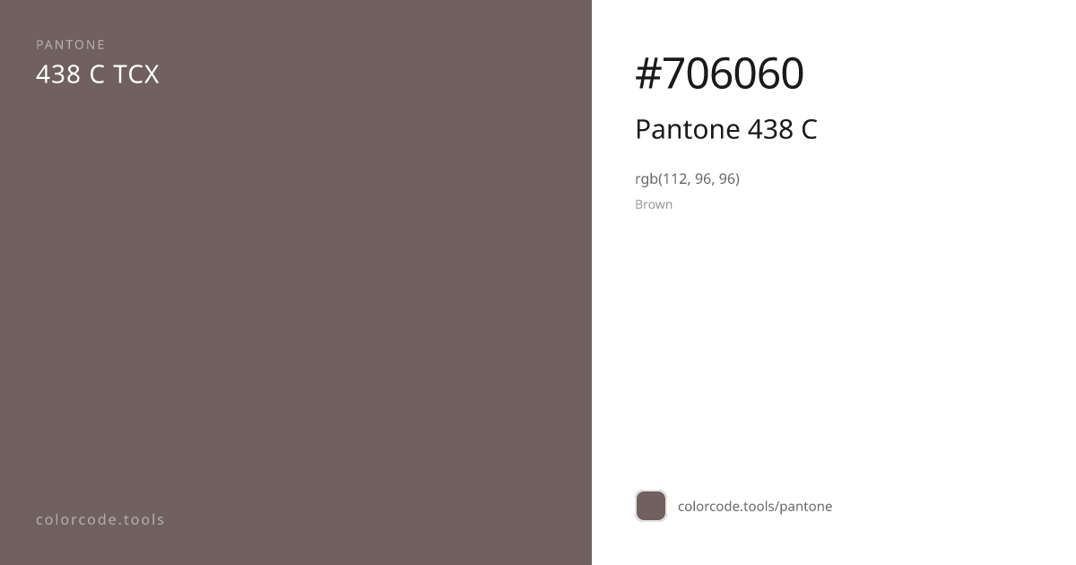 Pantone Pantone 438 C 438 C — HEX #706060 | colorcode.tools