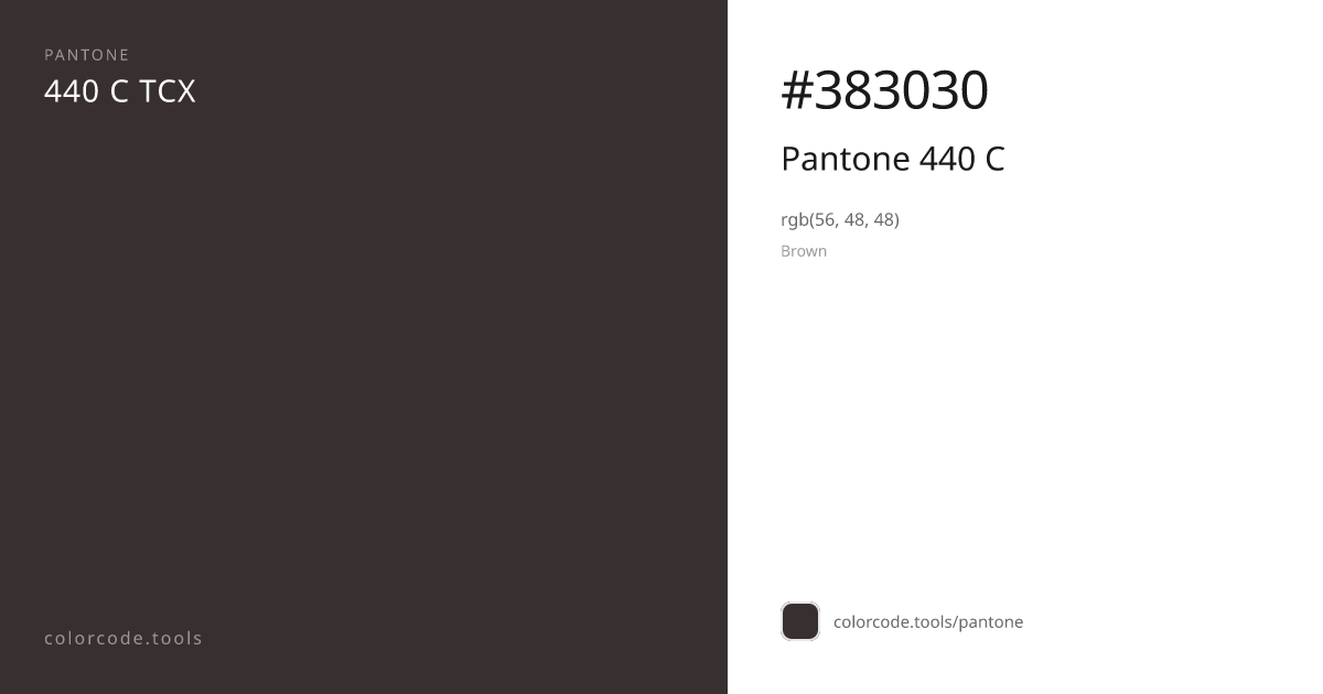 Pantone Pantone 440 C 440 C — HEX #383030 | colorcode.tools