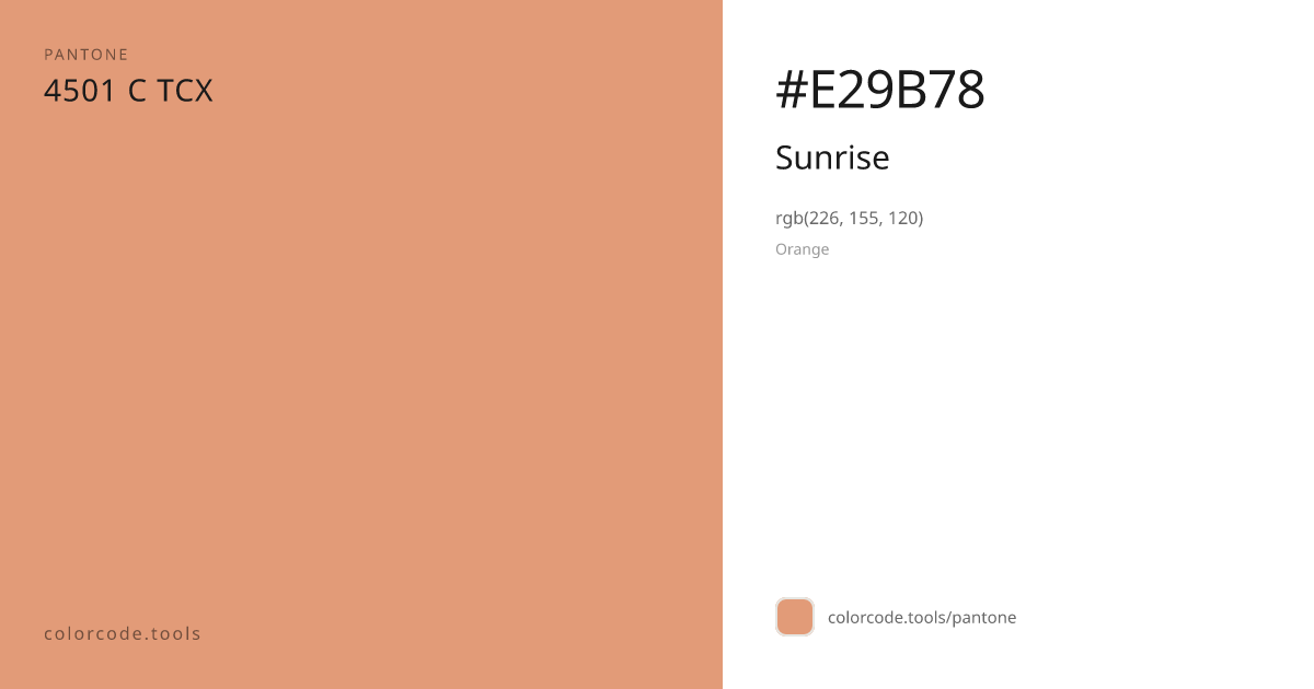 Pantone Sunrise 4501 C — HEX #E29B78 | colorcode.tools