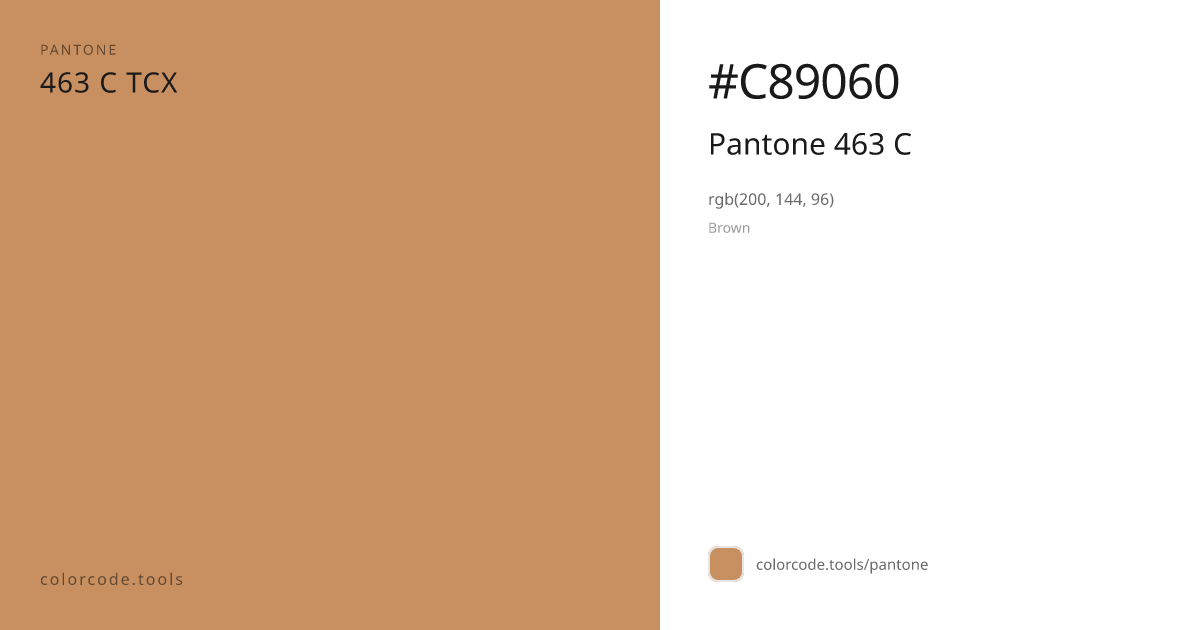 Pantone Pantone 463 C 463 C — HEX #C89060 | colorcode.tools