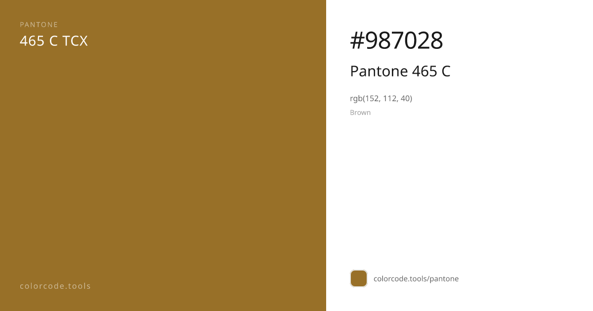 Pantone Pantone 465 C 465 C — HEX #987028 | colorcode.tools