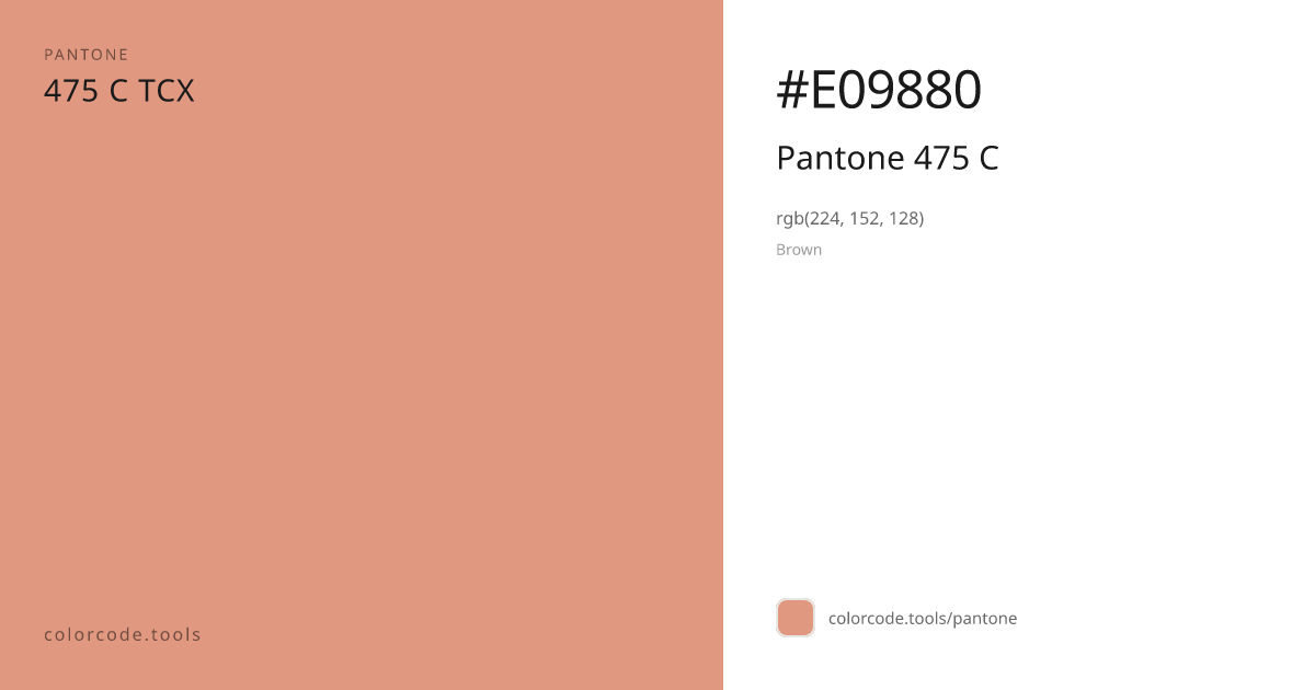 Pantone Pantone 475 C 475 C — HEX #E09880 | colorcode.tools