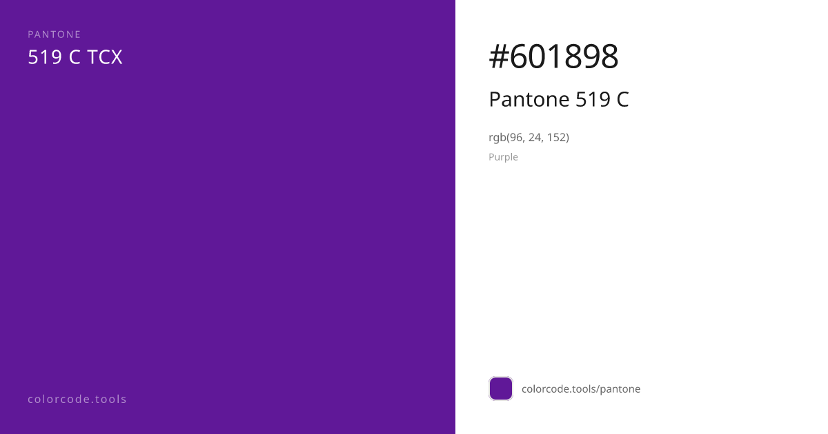 Pantone Pantone 519 C 519 C — HEX #601898 | colorcode.tools