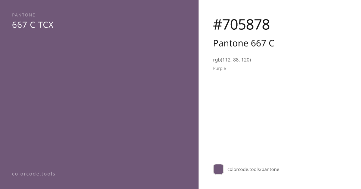 Pantone Pantone 667 C 667 C — HEX #705878 | colorcode.tools