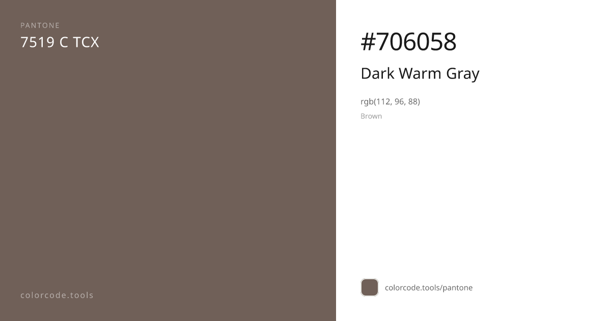 Pantone Dark Warm Gray 7519 C — HEX #706058 | colorcode.tools