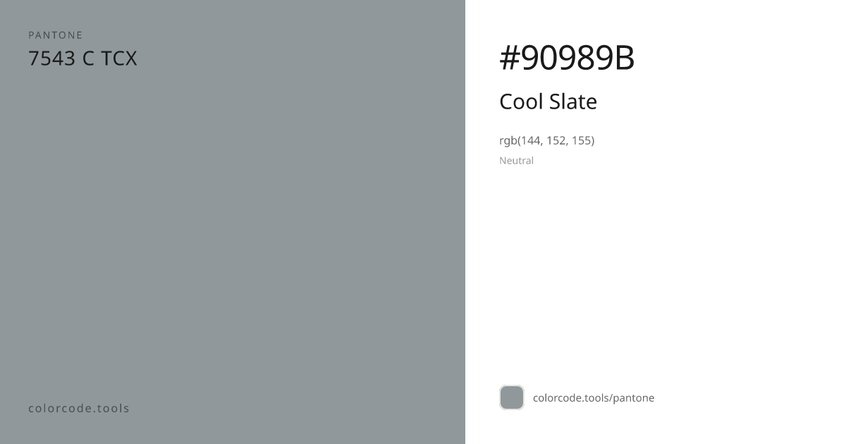 Pantone Cool Slate 7543 C — HEX #90989B | colorcode.tools