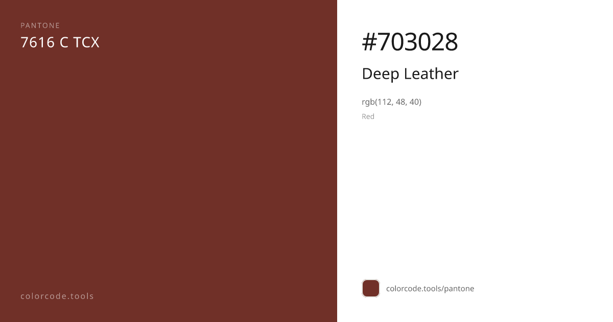 Pantone Deep Leather 7616 C — HEX #703028 | colorcode.tools