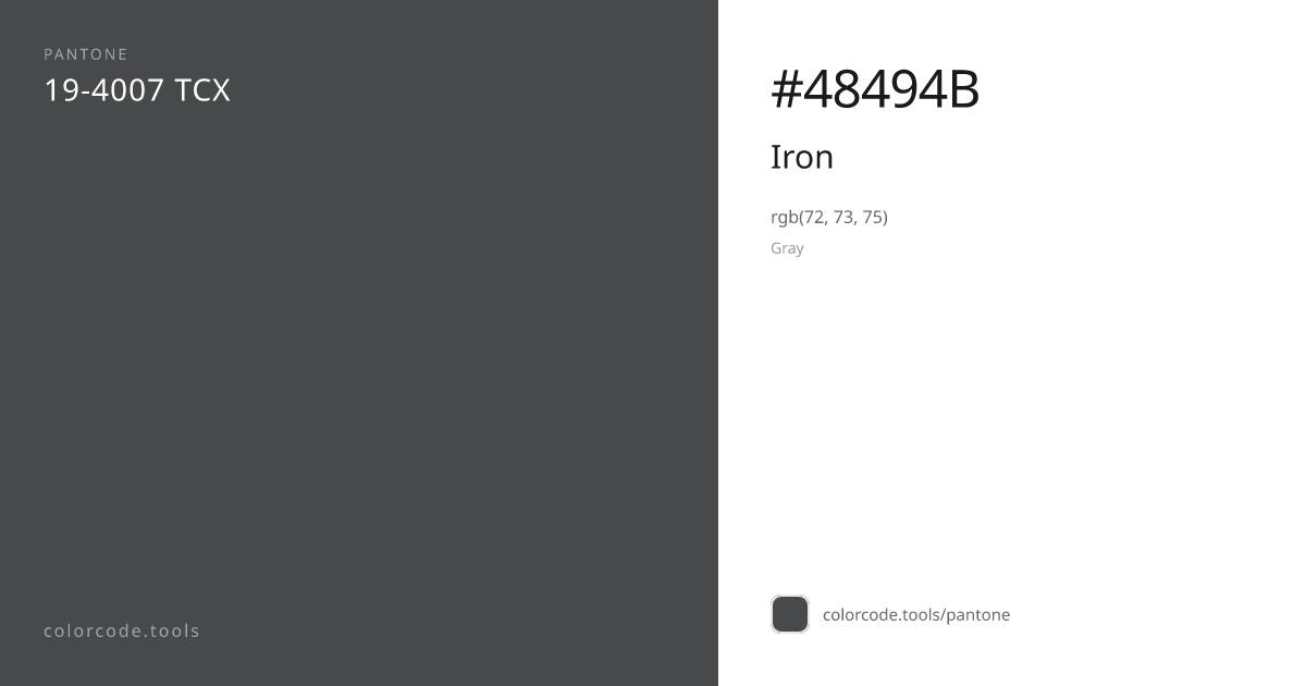Pantone Iron 19-4007 — HEX #48494B | colorcode.tools